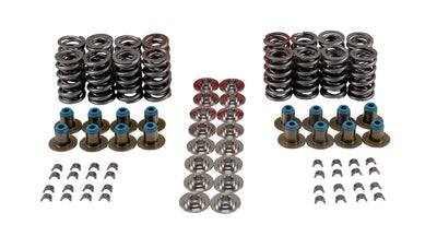 VALVE SPRING KIT