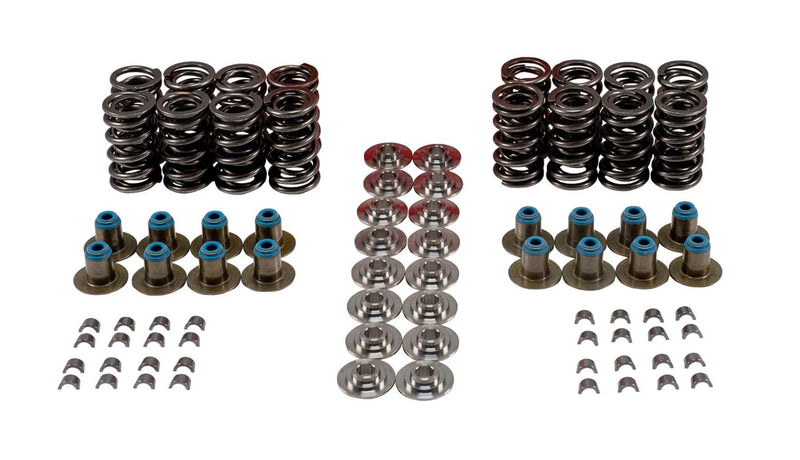 VALVE SPRING KIT