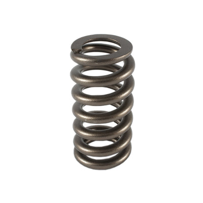 1.307 Valve Spring - Ovate Beehive (1) - PAC1219