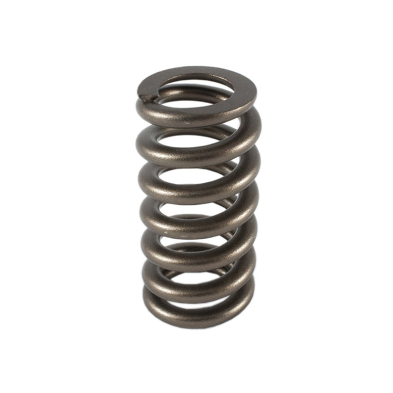 1.307 Valve Spring - Ovate Beehive (1) - PAC1219