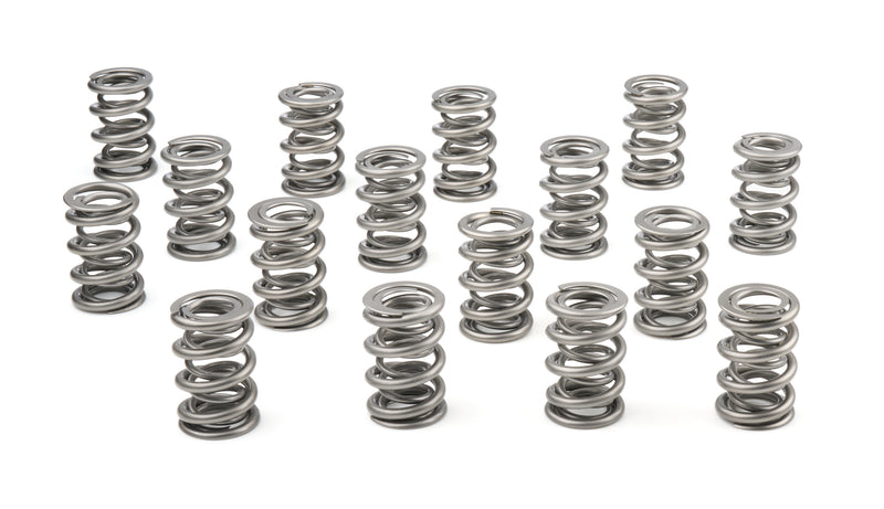 1.625 Dual Valve Springs (16)