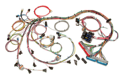 LSI 99-02 WIRING HARNESS