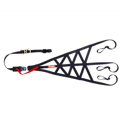 TRIANGLE ROLL CAGE NET