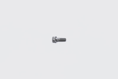 Bolt 1/4-20 X .75IN 12PT Stainless - 2308037