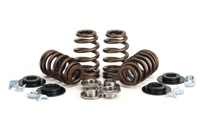 VALVE SPRING KIT BEEHIVE W/TI