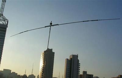 Diex Antennas Two-Band Trap Shortened Rigid Rotatable Dipoles