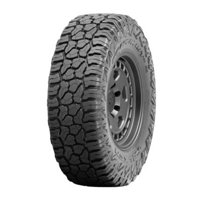 TIRE WILDPEAK R T01