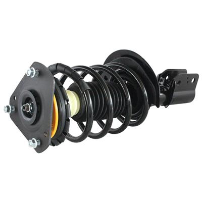 LOADED STRUT