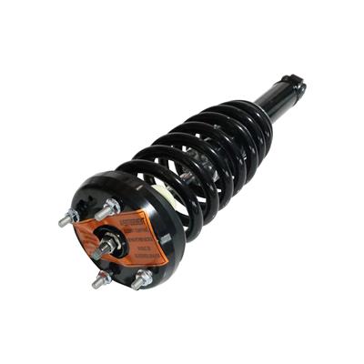 LOADED STRUT