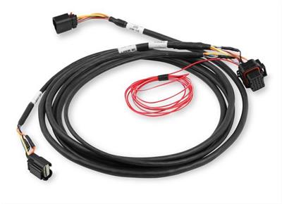 DBW HARNESS FORD COYOTE