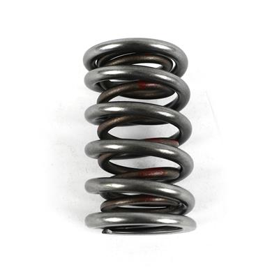 (VSS) VALVE SPRINGS
