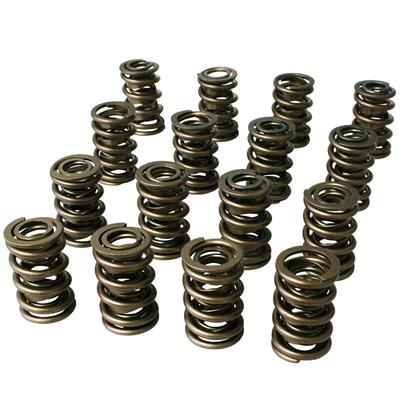 (VSS) VALVE SPRING