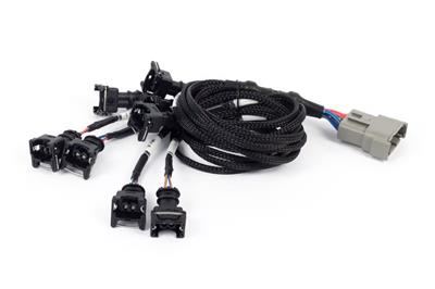 NEXUS REBEL LS - LS EV1 INJECT