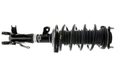 SHOCK AND STRUT ASSEMBLY