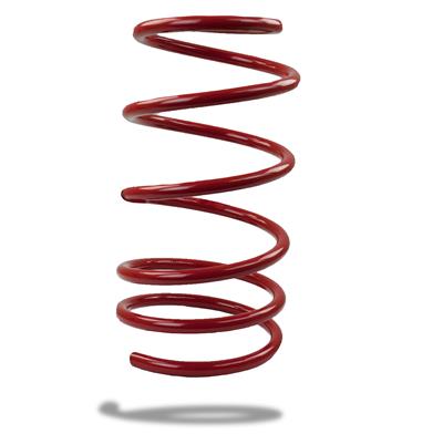 LOWERING SPRINGS PONTIAC GTO
