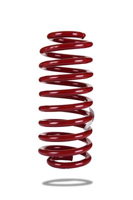 LOWERING SPRINGS FORD MUSTANG
