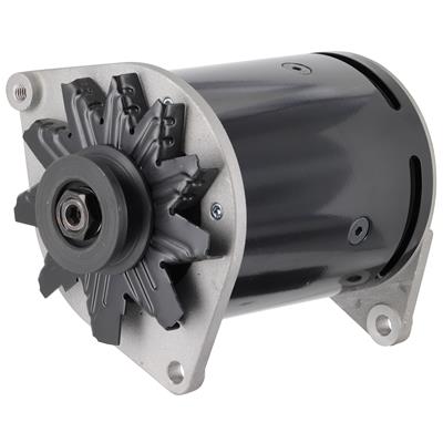 ALTERNATOR INTERNAL REG 60A 6V