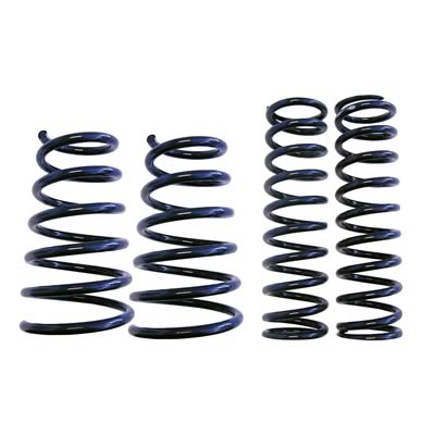 STEEDA SPORT SPRINGS