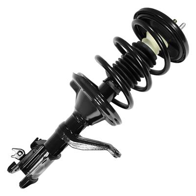 SHOCKS & STRUTS