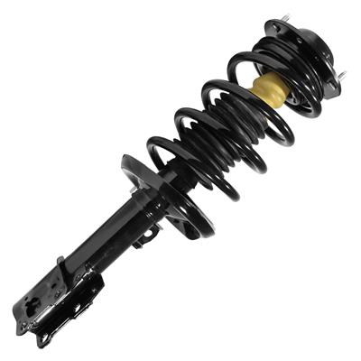 SHOCKS & STRUTS