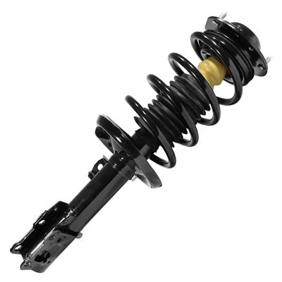 SHOCKS & STRUTS