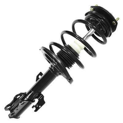 SHOCKS & STRUTS