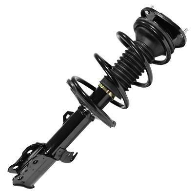 SHOCKS & STRUTS