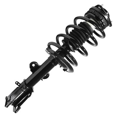 SHOCKS & STRUTS