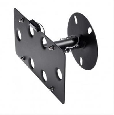 Spare Tire License Plate Mount