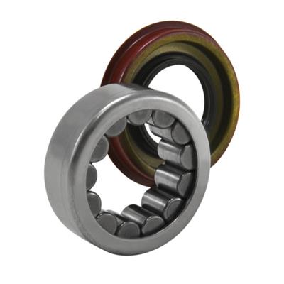 BEARING AND SEAL KIT