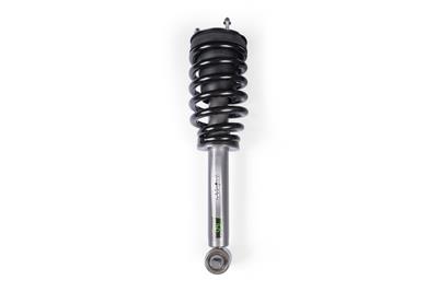 LOADED STRUT ASSEMBLY