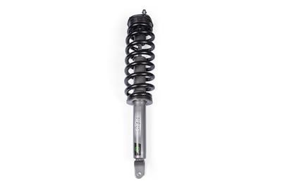 LOADED STRUT ASSEMBLY