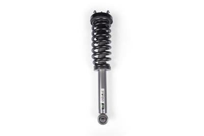 LOADED STRUT ASSEMBLY