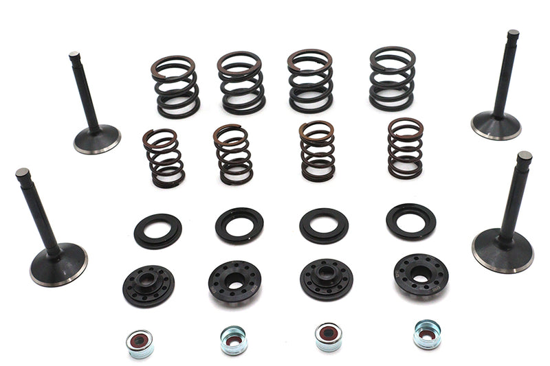 Kibblewhite Valve and Spring Kit