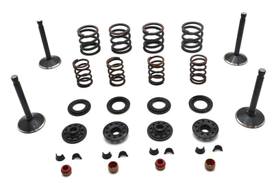 Kibblewhite Valve and Spring Kit