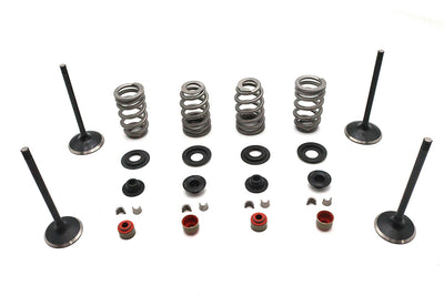 Kibblewhite Valve and Spring Kit