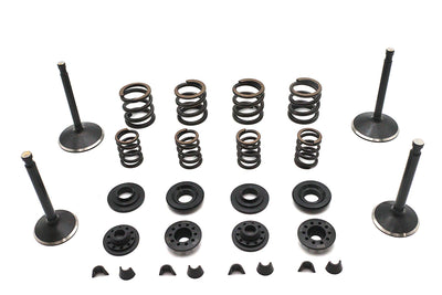 Kibblewhite Valve and Spring Kit