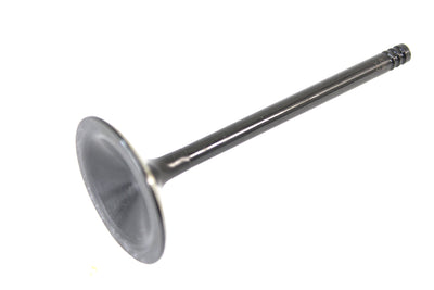 1200cc Black Diamond Stem Intake Valve