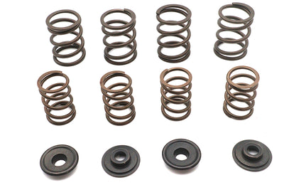 Valve Spring Kit