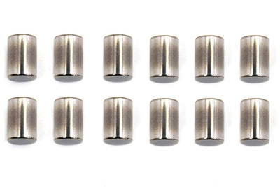 Standard Engine Case Roller Bearings Left Side
