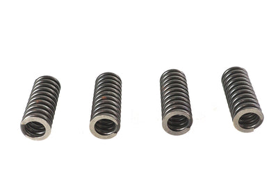 Valve Spring Set