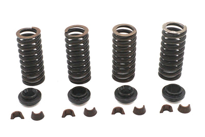 Valve Spring Kit