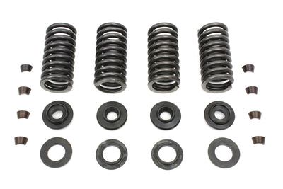 Valve Spring Kit