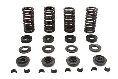 Valve Spring Kit
