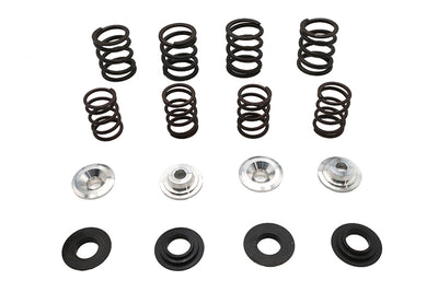 Valve Spring Kit