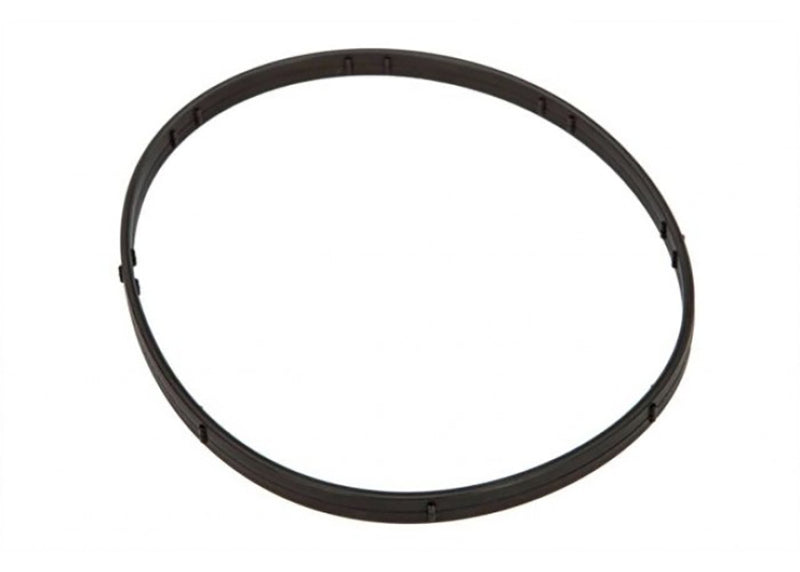 M8 Primary Derby O-Rings