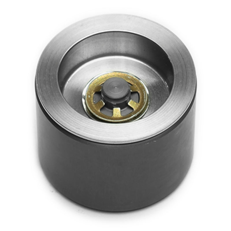 Caliper Piston - 2007554