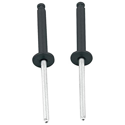 Allstar Performance ALL18099 0.5 in. Head Tri-Fold Rivet with 0.125-0.375 in. Grip Range, Black - Set of 100