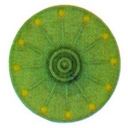 Hutchins 8 in Eliminator Sanding Pad Standard