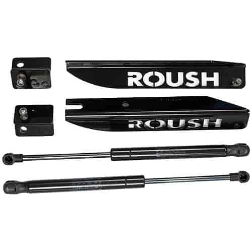 Roush 421236 Shock Absorber